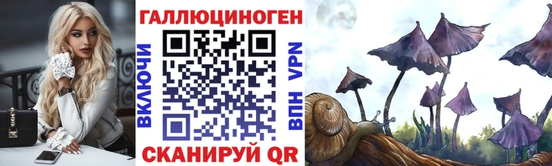 Купить закладки  Михайловск  Галлюциногенные грибы Cubensis 